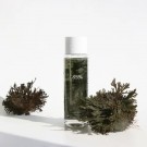 Dr. Althea Anastatica Skin Conditioning Toner 250ml thumbnail